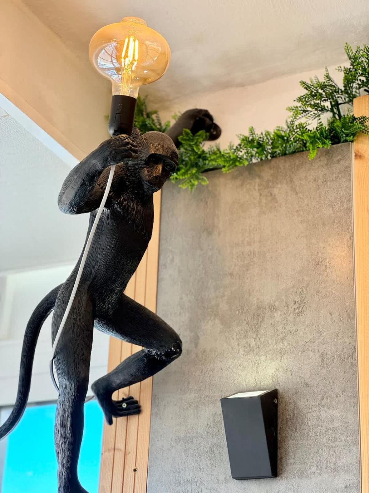 Apartment Terraza Chill Out 马拉加 外观 照片